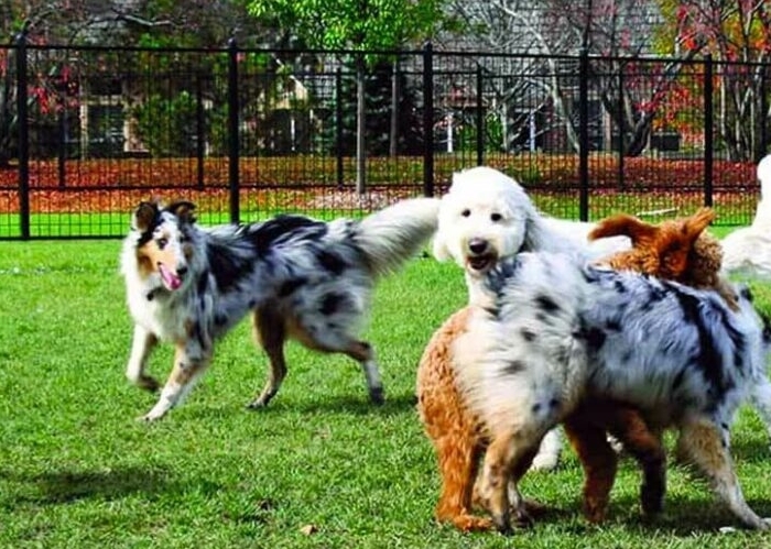 2f688bc3b9e43304022a09880aaf08d3